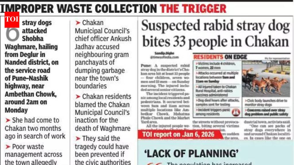 भटक्या कुत्र्यांच्या नियंत्रणासाठी चाकणचे रहिवासी नागरी संस्थेला दोष देतात