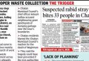 भटक्या कुत्र्यांच्या नियंत्रणासाठी चाकणचे रहिवासी नागरी संस्थेला दोष देतात
