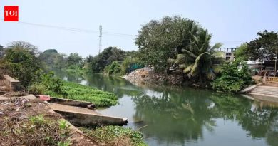 पीएमसी बेबी कॅनॉल परिसरातून पाण्याच्या लाईन आणि केबल्स हलवणार, प्रतिबंधात्मक जाळी बसवण्याची योजना