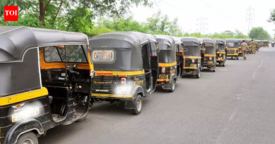 भाड्याच्या वादातून पुण्यातील ऑटोचालकाने प्रवाशासह त्याच्या वडिलांना मारहाण; गुन्हा दाखल