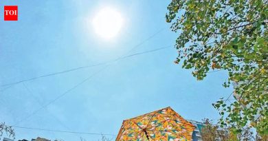 उद्यापासून संपूर्ण महाराष्ट्रात उष्णतेपासून दिलासा, पाऊस आणि वादळी पावसाची शक्यता आहे