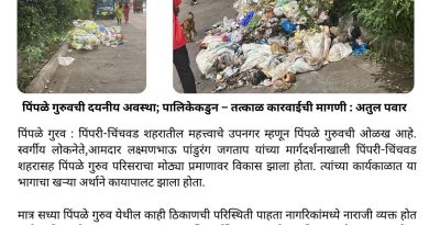 लक्ष्मणभाऊ जगताप यांनी घडवलेला परिसर आज दुर्लक्षित – अतुल पवार संतापले