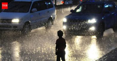 ढगांचे आच्छादन, मान्सूनपूर्व सरी जूनपर्यंत महाराष्ट्र नेहमीपेक्षा थंड ठेवू शकतात: IMD