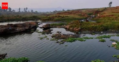 हिरण्यकेशी नदीला मोलॅसिसने प्रदूषित केल्याबद्दल एनजीटीने कोल्हापूर साखर कारखान्याला ५० लाख रुपये नुकसान भरपाई देण्यास सांगितले.