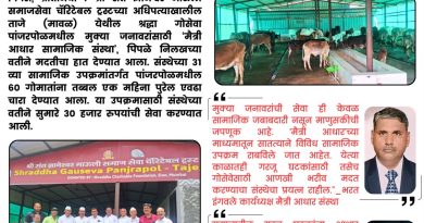 मुक्या जीवांच्या भुकेसाठी ‘मैत्री आधार’ धाव